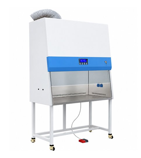 bio-safety11
